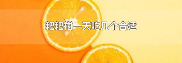 耙耙柑一天吃几个合适