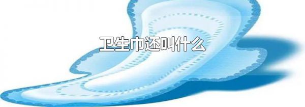 卫生巾还叫什么
