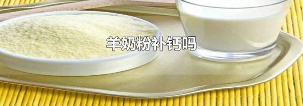 羊奶粉补钙吗