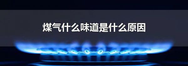 煤气什么味道是什么原因