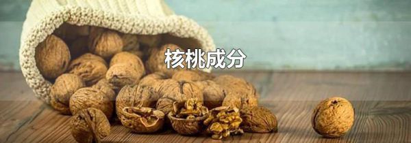核桃成分