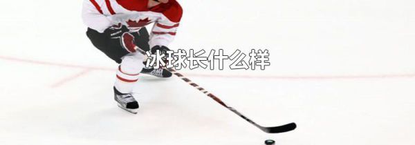 冰球长什么样