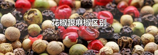 花椒跟麻椒区别