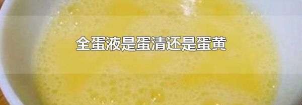 全蛋液是蛋清还是蛋黄