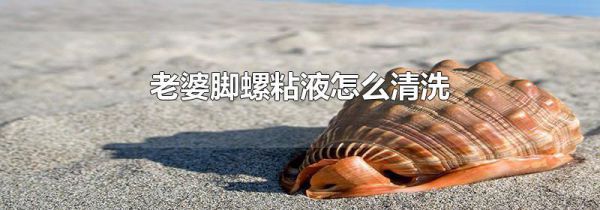 老婆脚螺粘液怎么清洗