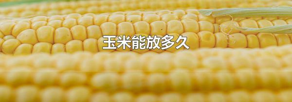 玉米能放多久