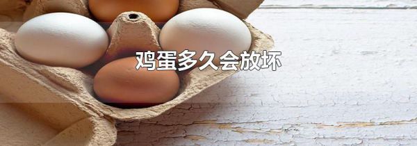 鸡蛋多久会放坏