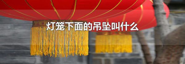 灯笼下面的吊坠叫什么