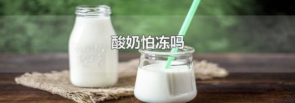 酸奶怕冻吗
