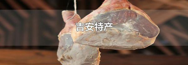 吉安特产