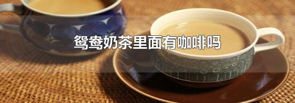 鸳鸯奶茶里面有咖啡吗