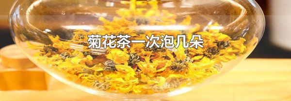 菊花茶一次泡几朵