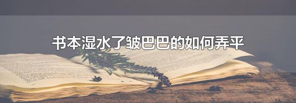 书本湿水了皱巴巴的如何弄平