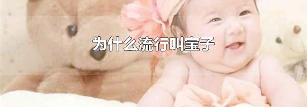 为什么流行叫宝子