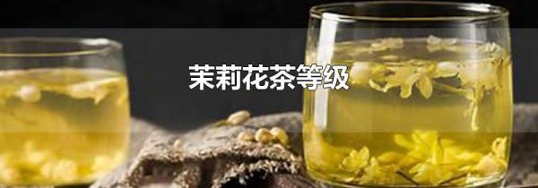 茉莉花茶等级