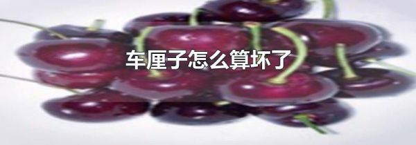 车厘子怎么算坏了