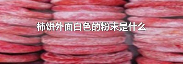 柿饼外面白色的粉末是什么