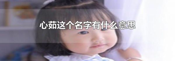 心茹这个名字有什么意思