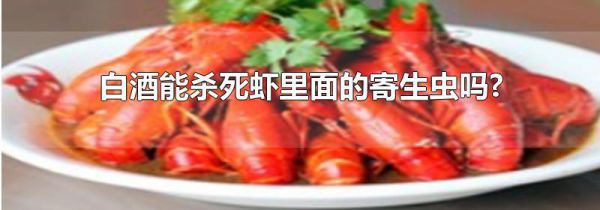 白酒能杀死虾里面的寄生虫吗?