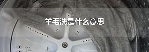 羊毛洗是什么意思