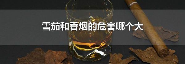 雪茄和香烟的危害哪个大
