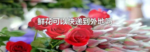 鲜花可以快递到外地吗
