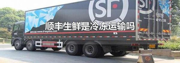 顺丰生鲜是冷冻运输吗