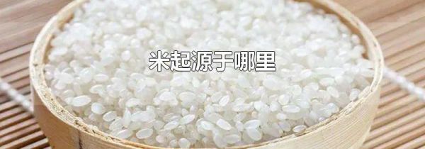 米起源于哪里