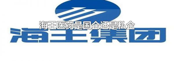 海王医药是国企还是私企