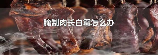 腌制肉长白霉怎么办