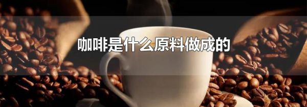 咖啡是什么原料做成的