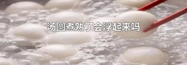 汤圆煮熟了会浮起来吗