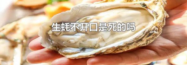 生蚝不开口是死的吗