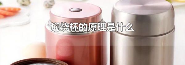 焖烧杯的原理是什么