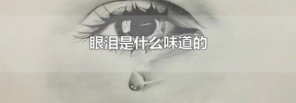 眼泪是什么味道的