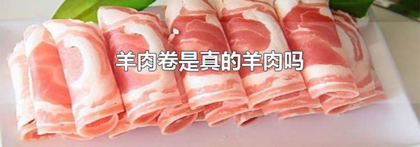 羊肉卷是真的羊肉吗