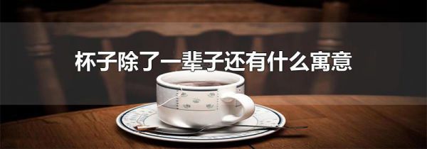 杯子除了一辈子还有什么寓意