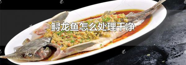 鲟龙鱼怎么处理干净