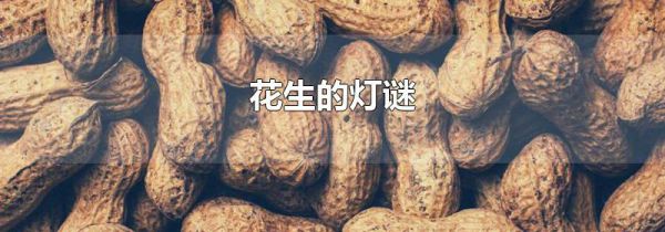 花生的灯谜