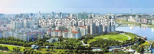 绵羊在哪个省哪个城市