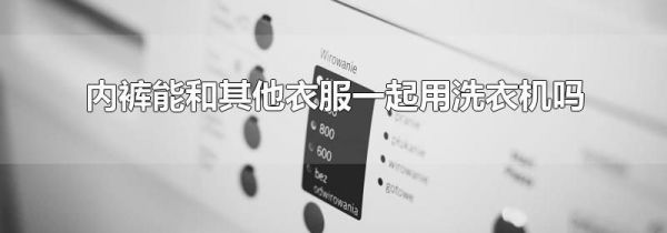 内裤能和其他衣服一起用洗衣机吗