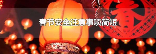 春节安全注意事项简短