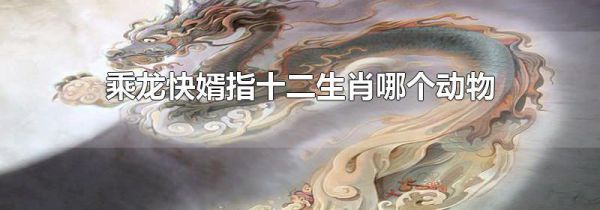 乘龙快婿指十二生肖哪个动物