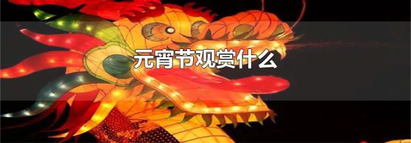 元宵节观赏什么