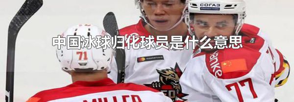中国冰球归化球员是什么意思
