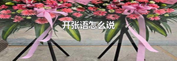 开张语怎么说