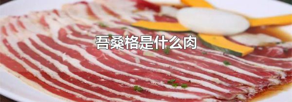 吾桑格是什么肉