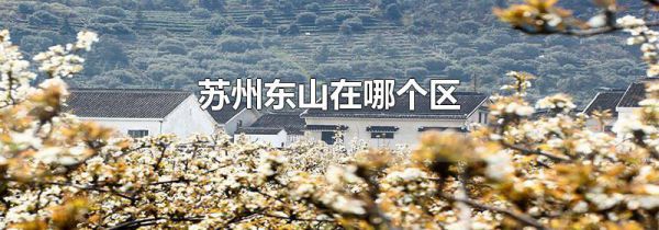 苏州东山在哪个区