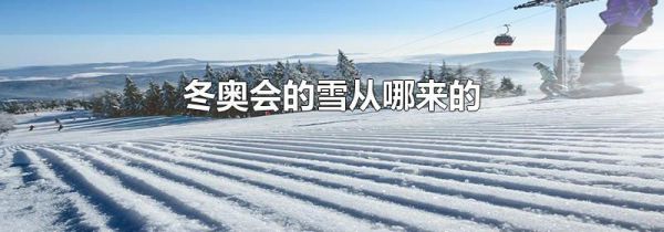冬奥会的雪从哪来的