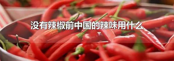 没有辣椒前中国的辣味用什么